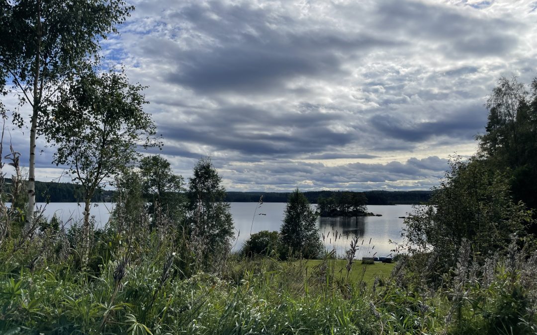 Stress och Krisstöd